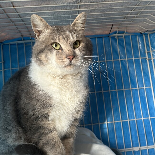 ケイコＡのカバー写真