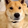 しじみ目の三郎 サムネイル3