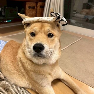 しじみ目の三郎