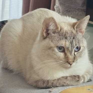 可愛い座り方♡