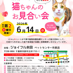 にゃんハートお見合い会（小さな譲渡会）