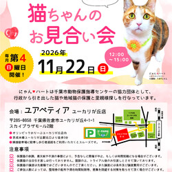 にゃんハートお見合い会（小さな譲渡会）