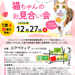 にゃんハートお見合い会（小さな譲渡会）