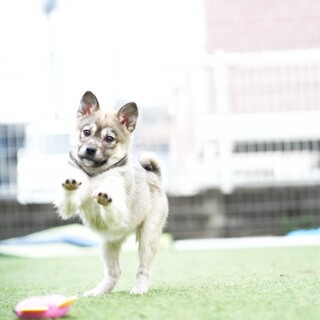 遊ぶの大好き2ヶ月女の子