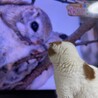 の写真