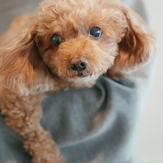 人も抱っこも大好きなベビーフェイスな女の子