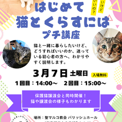 「はじめて猫と暮らすには？」プチ講座