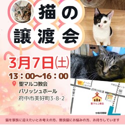 「「はじめて猫と暮らすには？」プチ講座」サムネイル2