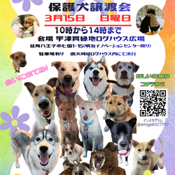 八王子七国保護犬譲渡会