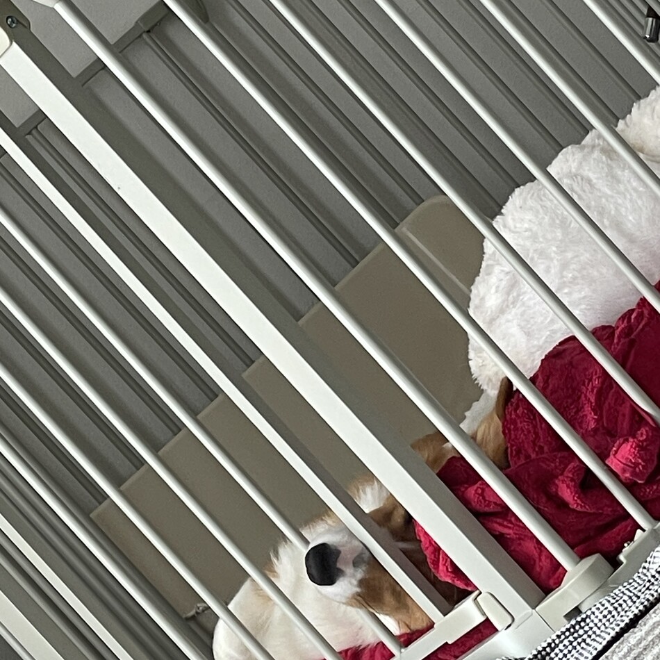 暖のカバー写真