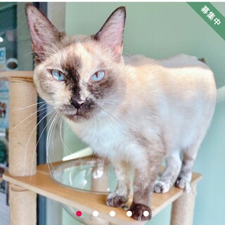 おおきくておしゃべり♪