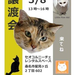 三重県桑名市3月8日(日)リトルパウエイド譲渡会