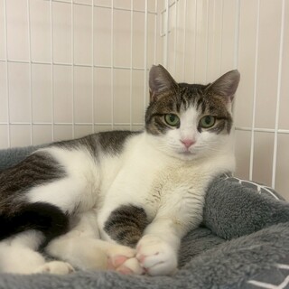 お目目くりっくり美しいメメくん☆