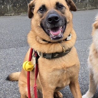 「なおき」男の子