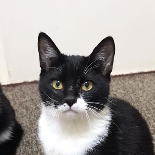 3/8高田馬場★ふじちゃん★人が大好き甘々女子