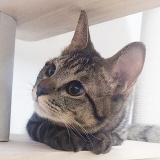 3/8高田馬場★慈雨くん★ゆるーい男の子