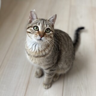 3/22高田馬場★アモくん★甘え上手な男の子