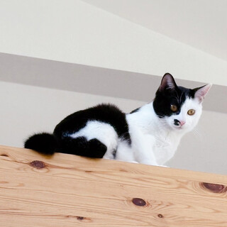 まだまだ警戒中、イサキ♂8ヵ月