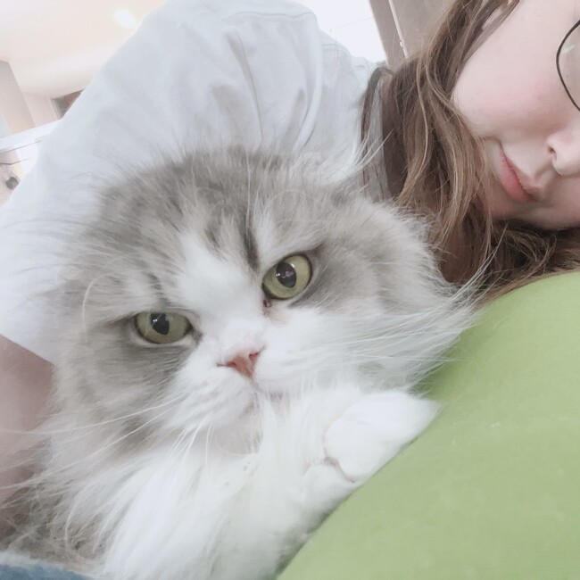あいこ0519のカバー写真