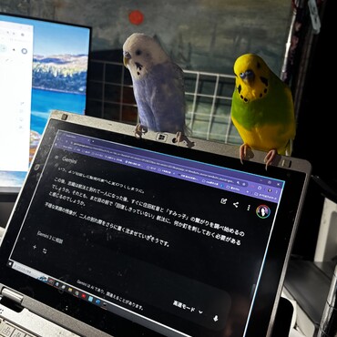 noteパソコンに止まって応援してくれました。