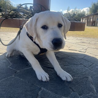 ありがとうございました。