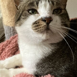 添い寝してくれるナレナレの男の子