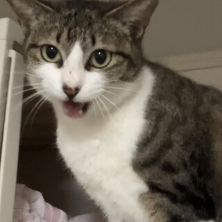 小顔でスリム　ルミちゃん