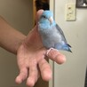 の写真