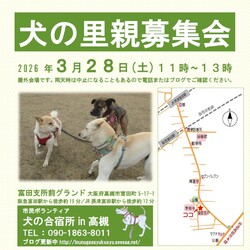 「犬の合宿所in高槻」の里親募集会