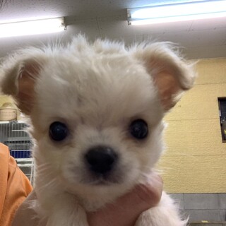 とってもイケメンな男の子！