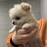 とってもイケメンな男の子！ サムネイル3