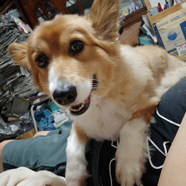 背中に乗られちゃいましたw