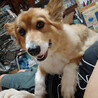 背中に乗られちゃいましたw