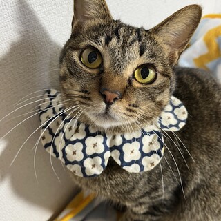 クリクリおめめの優しい男の子♪