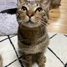 クリクリおめめの優しい男の子♪ サムネイル3
