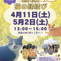 猫の縁結び〜保護猫の譲渡会〜