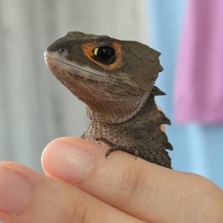 たくさんご応募ありがとうございました！