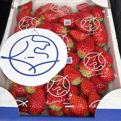 「杏の日」サムネイル3