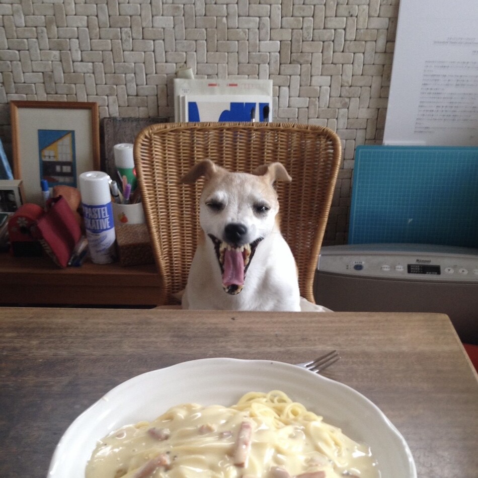 きなこのカバー写真
