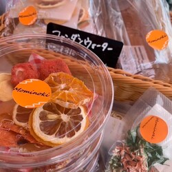 チャリティーイベント&プチ譲渡会 （@習志野実籾） サムネイル3