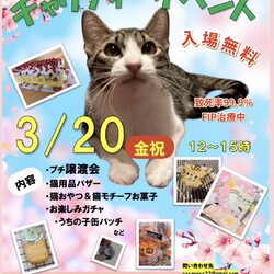 チャリティーイベント&プチ譲渡会 （@習志野実籾） サムネイル1