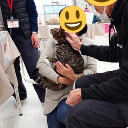保護猫譲渡会Cat'seye サムネイル2