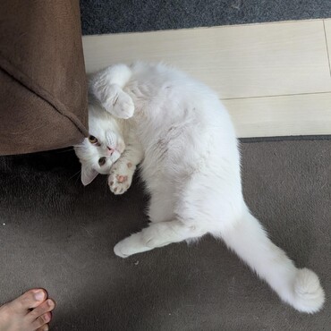 の写真