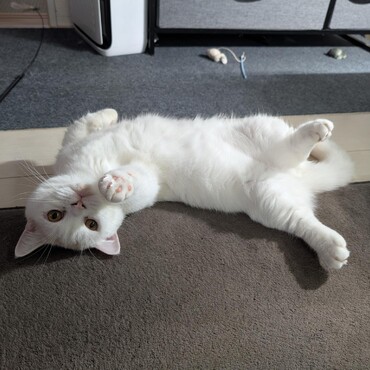 の写真