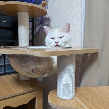 の写真