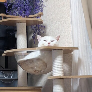 の写真