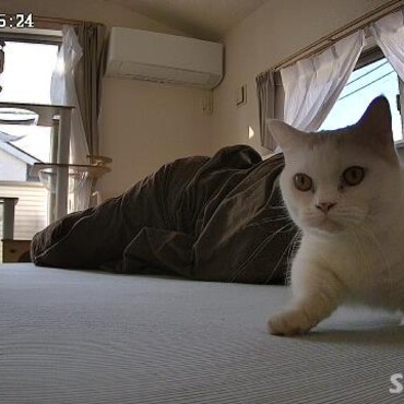 の写真