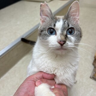 甘えん坊なひなちゃん！一緒にいちゃいちゃしませんか