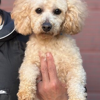 26-M26　可愛い僕ちゃんです！！