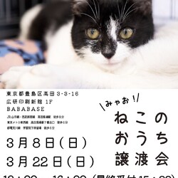 ◇ミャオ！ねこのおうち◇譲渡会◇